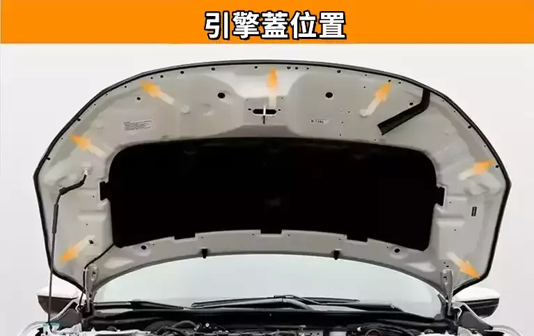 1780647902660479.webp